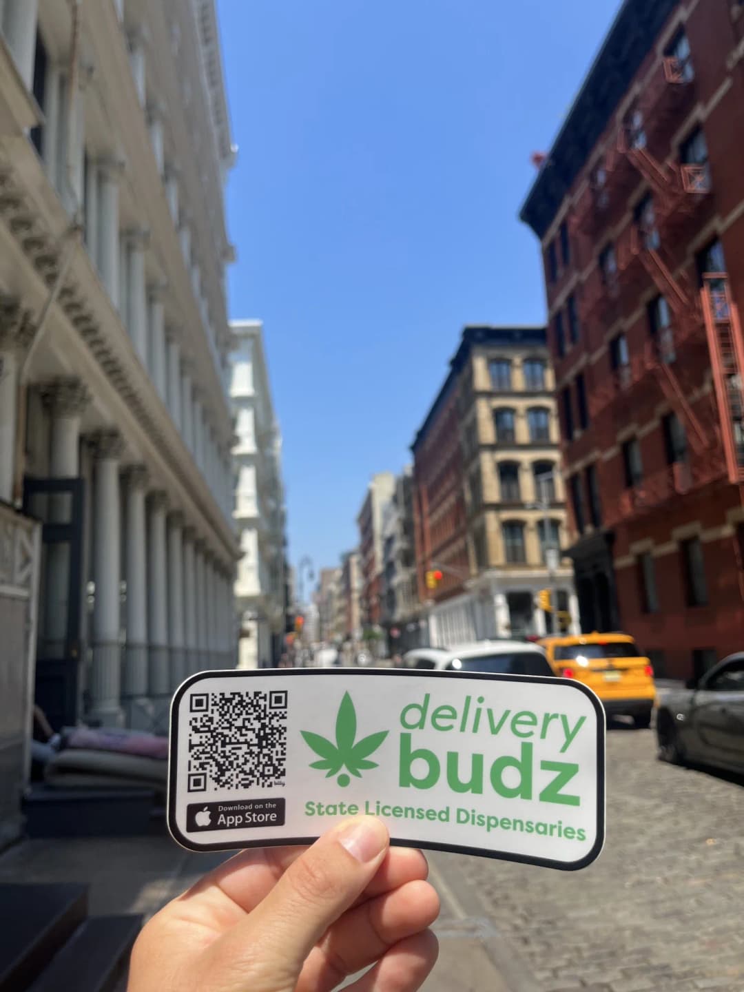 How To Find The Best Weed Near Me For A Superior Cannabis Experience